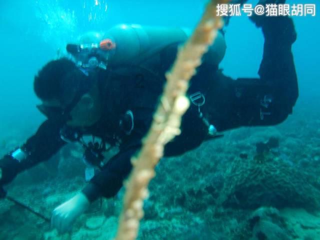 为什么要限制齿轮的最少齿数？游戏画面